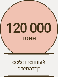 120000 т собственный элеватор