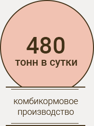 480 т в сутки комбикормовое производство
